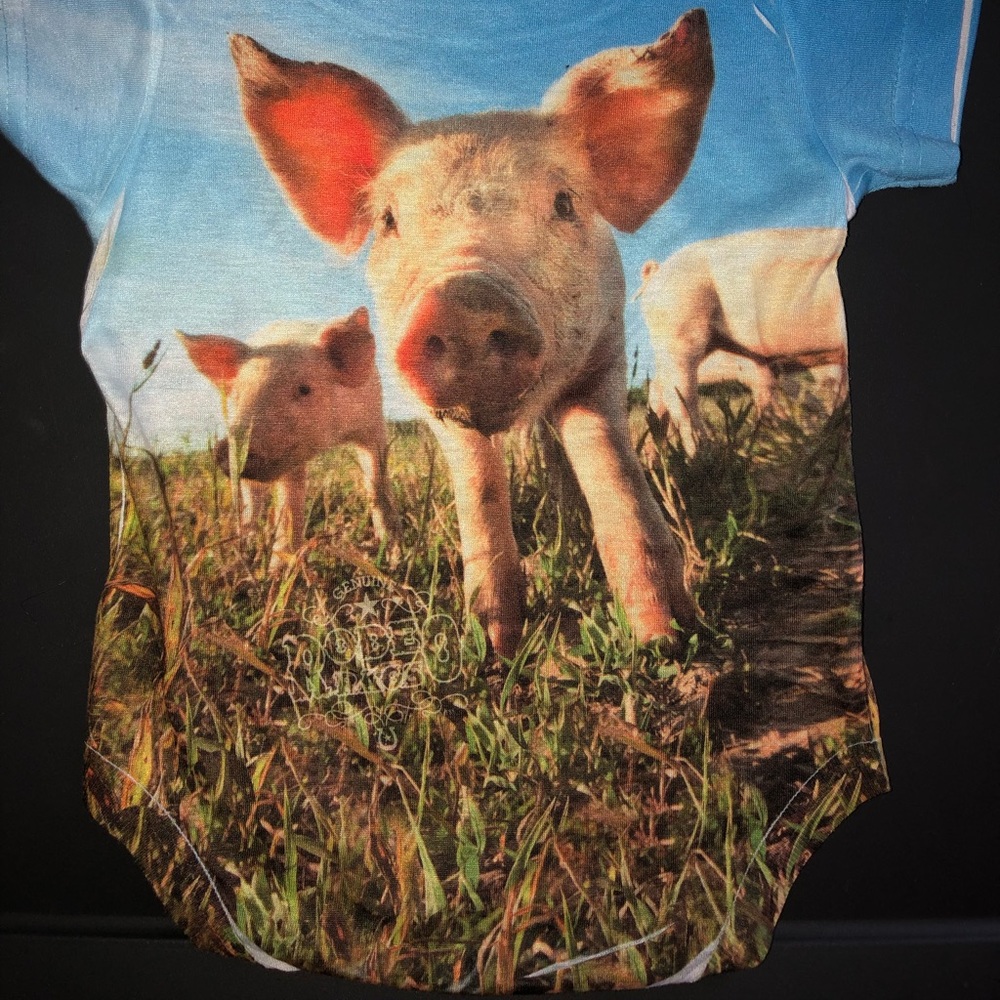 Genuine Rodeo Rags pigs onsie - Picture 4 of 7